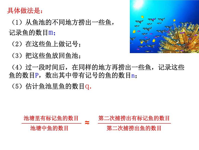 初中数学人教版七年级下册实验与探究瓶子中有多少粒豆子2课件PPT第5页