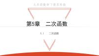 初中数学苏科版九年级下册5.1 二次函数教学课件ppt