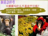 初中數(shù)學人教版七年級下冊復習題5課件PPT