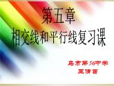 初中數(shù)學人教版七年級下冊復習題5課件PPT