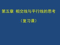 初中数学人教版七年级下册构建知识体系7课件PPT