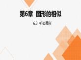 蘇科版九年級數(shù)學(xué)下冊課件：6.3相似圖形
