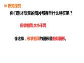 蘇科版九年級數(shù)學(xué)下冊課件：6.3相似圖形