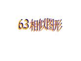 苏科版九年级数学下册6.3：相似图形 课件(共25张PPT)