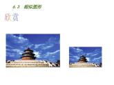 6.3相似圖形-蘇科版九年級數(shù)學(xué)下冊教學(xué)課件 (共15張PPT)