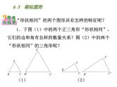 6.3相似图形-苏科版九年级数学下册教学课件 (共15张PPT)