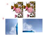 蘇科版九年級(jí)下冊(cè)數(shù)學(xué)課件6.6圖形的位似 （共29張ppt）