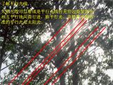 蘇科版九年級下冊數(shù)學(xué)：6.7 用相似三角形解決問題(共15張PPT)
