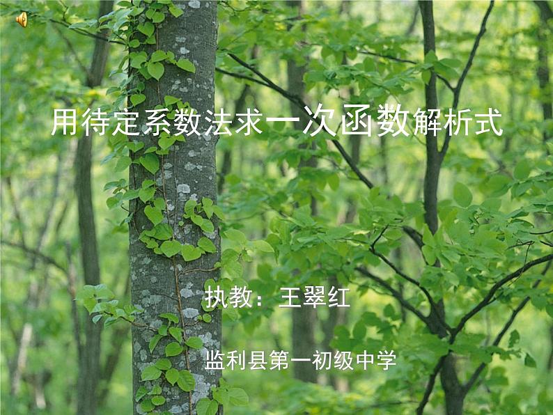 初中数学人教 版八年级下册 待定系数法求一次函数的解析式 课件01