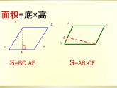 初中数学人教 版八年级下册 平行四边形1 课件