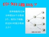 2.9有理数的乘方课件PPT