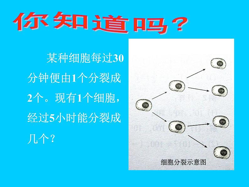 2.9有理数的乘方课件PPT02