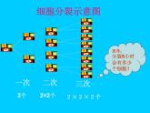 2.9有理数的乘方课件PPT