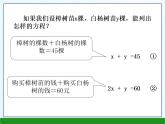 3.3二元一次方程组及其解法课件PPT