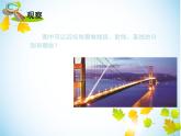4.2 线段、射线、直线课件PPT