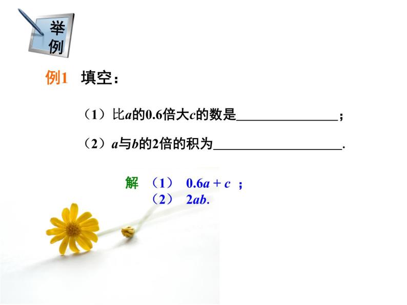 2.1 用字母表示数课件PPT06