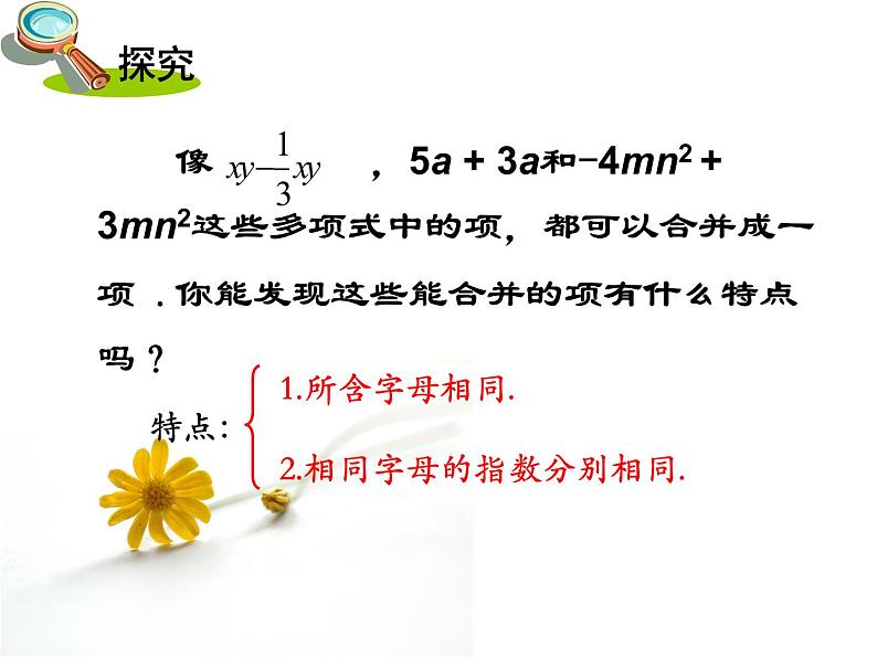 2.5整式的加法和减法课件PPT第4页