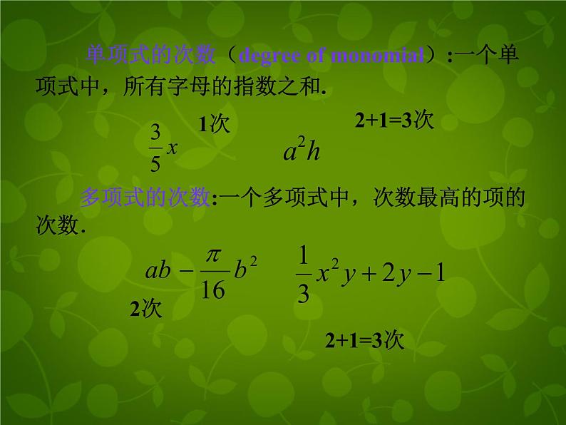 4.1 整式课件PPT第6页