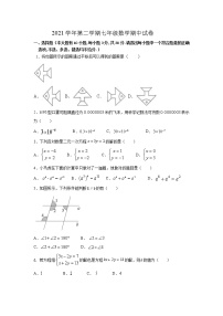 浙江省绍兴市新昌县2021-2022学年七年级下学期期中阶段性联考数学试题（有答案）