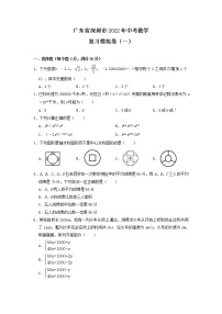 2022年广东省深圳市中考数学复习模拟卷（一）