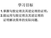 鲁教版（五四制）七年级下册数学 10.3直角三角形（1）课件