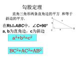 鲁教版（五四制）七年级下册数学 10.3直角三角形（1）课件