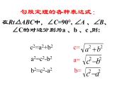 鲁教版（五四制）七年级下册数学 10.3直角三角形（1）课件