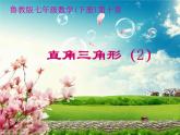 鲁教版（五四制）七年级下册数学 10.3直角三角形（2）课件