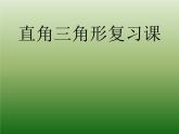 鲁教版（五四制）七年级下册数学 10.3直角三角形（复习） 课件