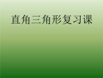 初中数学鲁教版 (五四制)七年级下册3 直角三角形复习ppt课件