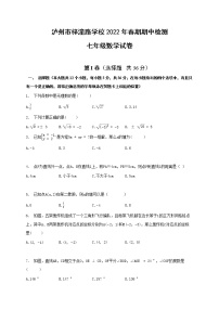 四川省泸州市梓橦路学校2021-2021学年七年级下学期期中考试数学试题(word版含答案)