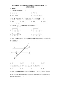 2022年山东省滕州市张汪中学学业水平考试复习综合练习题（一）九年级数学试题