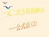 魯教版（五四制）八年級下冊數(shù)學(xué) 8.3用公式法解一元二次方程（2） 課件