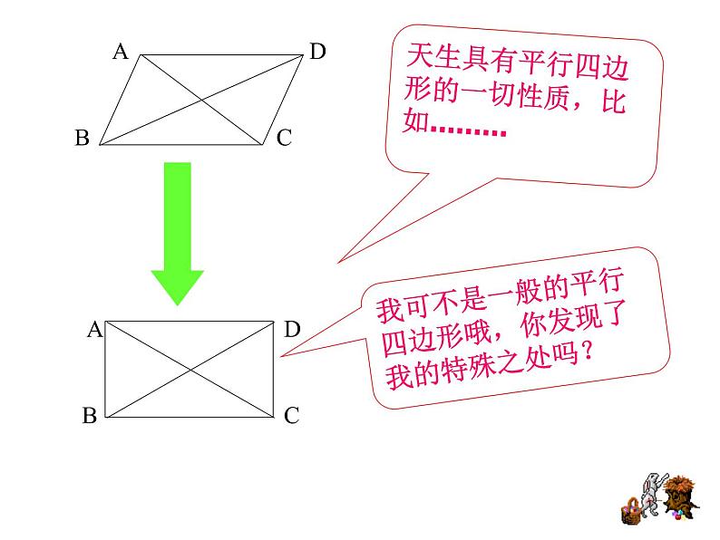 鲁教版（五四制）八年级下册数学 6.2.1矩形的性质 课件第5页