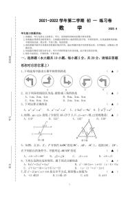 江苏省苏州工业园区星海实验中学2021-2022学年七年级下册数学期中试卷（含答案）