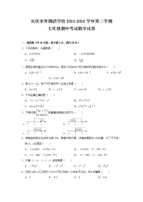 安徽省安庆市外国语学校2021-2022学年下学期七年级数学期中考试试卷（含答案）