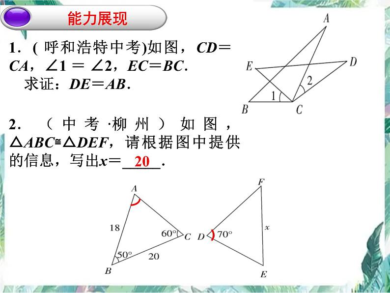 中考数学复习 全等三角形中考复习优质课件第7页