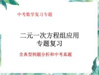 中考数学专题复习 二元一次方程组应用专题复习 含典型例题分析级中考真题课件PPT