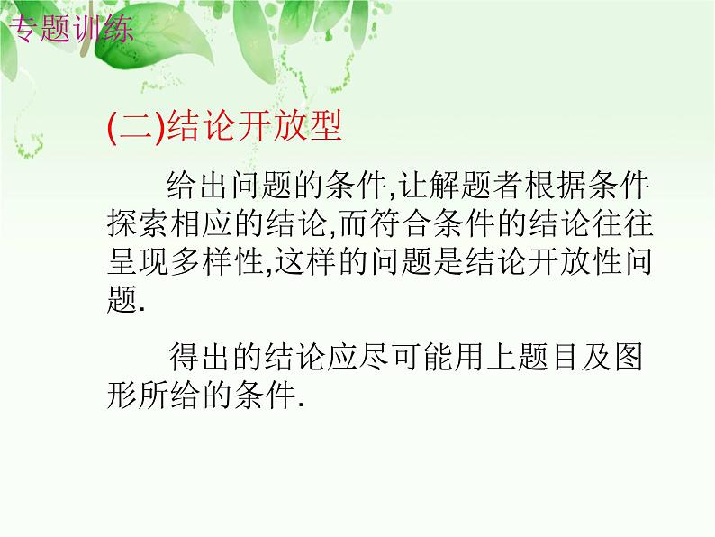 中考数学开放性问题课件PPT05