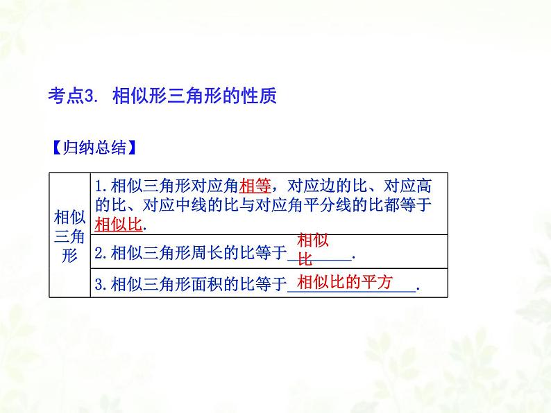 中考数学 相似三角形复习 精品按照考点整理课件PPT第8页