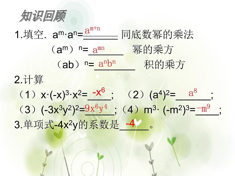 14.1整式的乘法课件PPT02