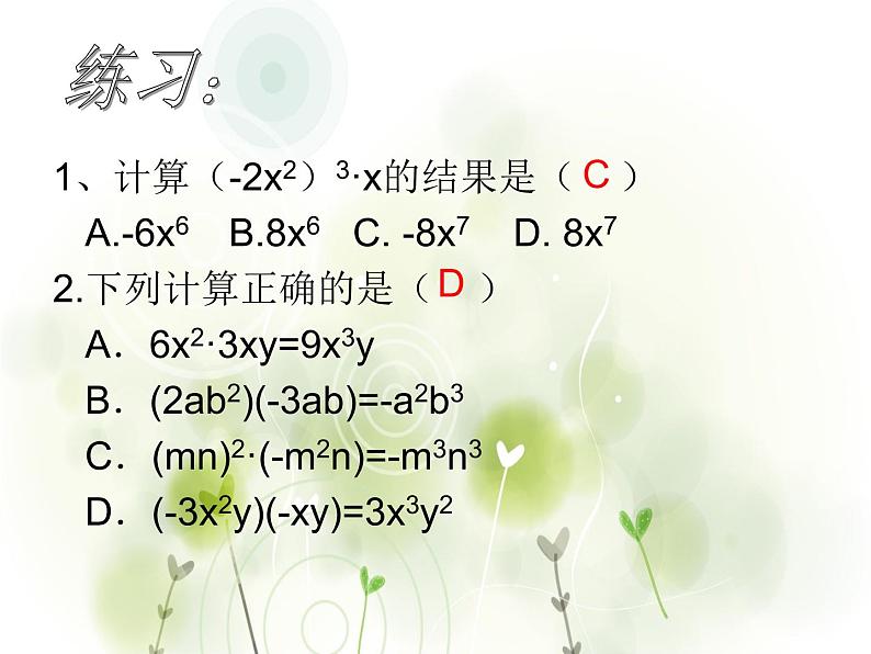 14.1整式的乘法课件PPT05