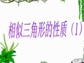 鲁教版（五四制）八年级下册数学 9.8相似三角形的性质（1） 课件