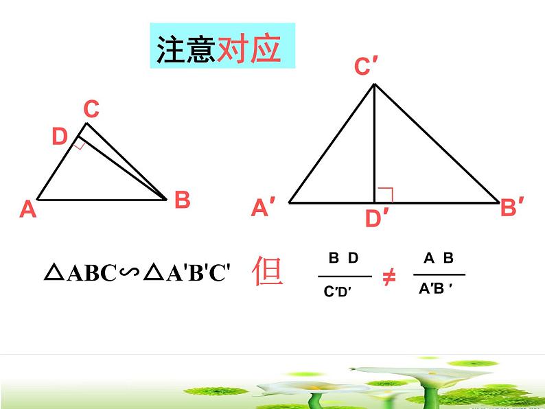 鲁教版（五四制）八年级下册数学 9.8相似三角形的性质（1） 课件07