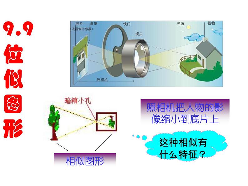 鲁教版（五四制）八年级下册数学 9.9利用位似放缩图形（1） 课件01