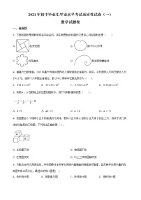 精品解析：2021年浙江省嘉兴市桐乡市中考一模数学试题（解析版+原卷板）