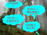 鲁教版（五四制）八年级下册数学 综合与实践 制作视力表 课件
