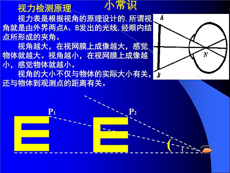 鲁教版（五四制）八年级下册数学 综合与实践 制作视力表 课件05