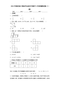 2022年湖北省十堰市竹山县中考数学3月份调研试题（一模）(word版含答案)