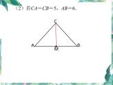 初中数学专题复习 探究中点问题课件PPT